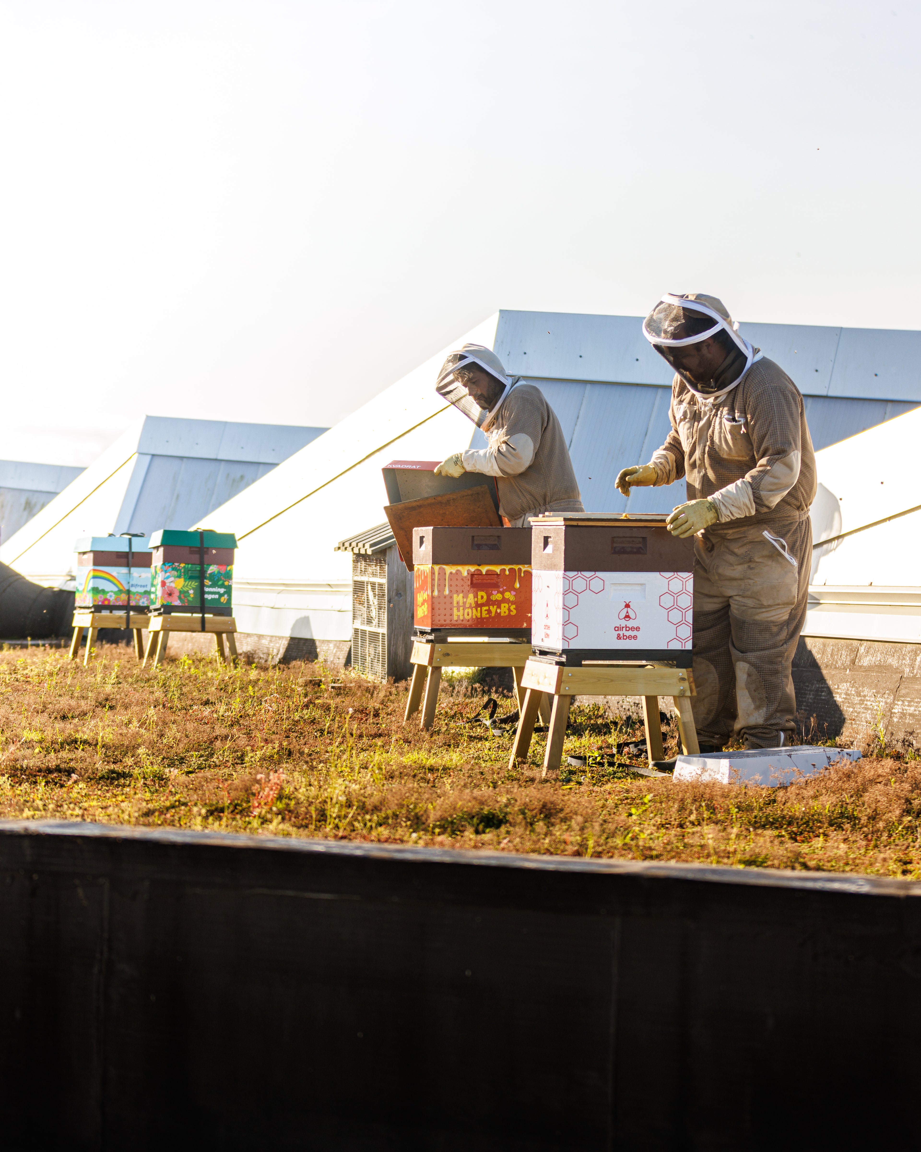 slider image 1621243260e1af0c20-0