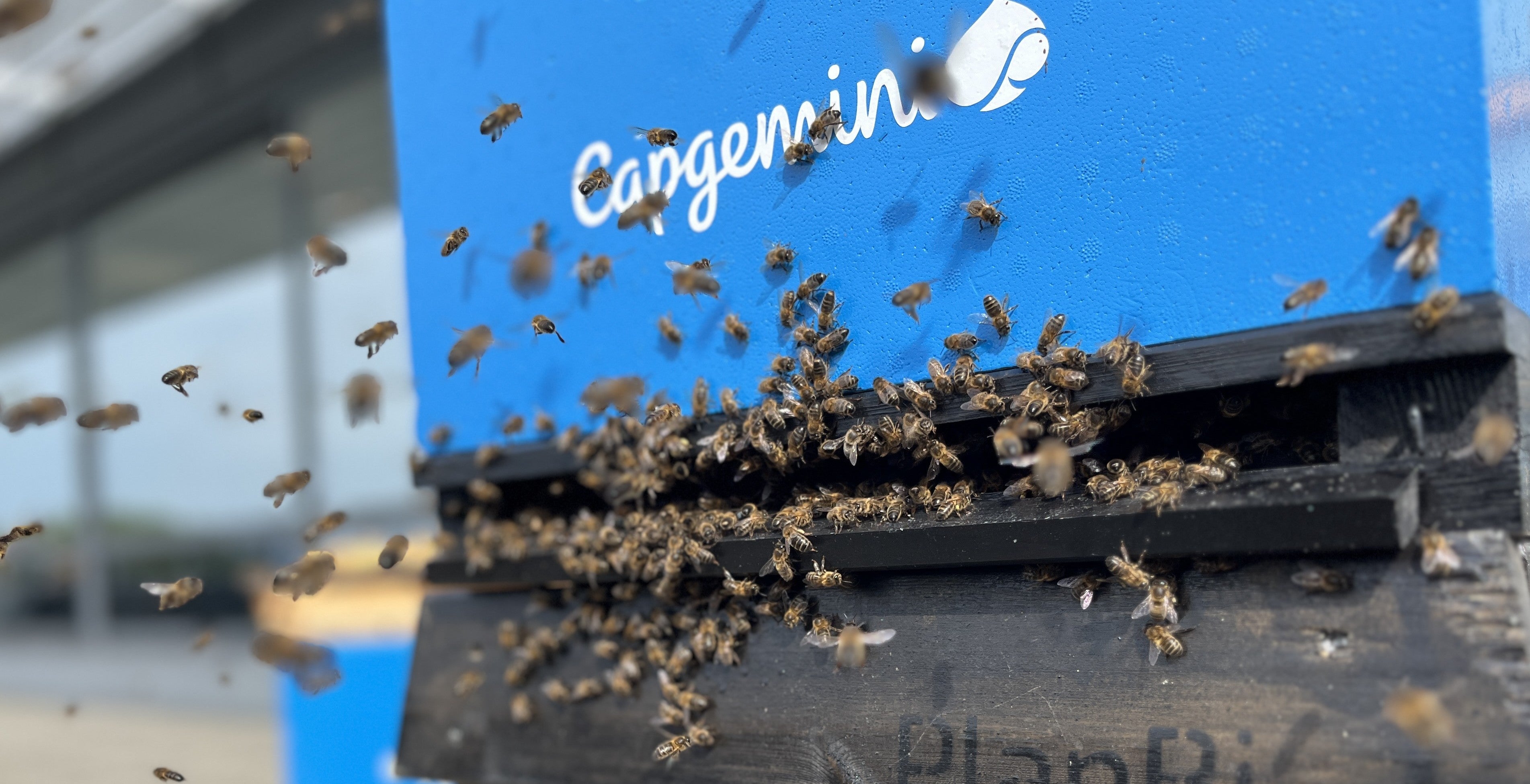 slider image 1621243260e1af0c20-2