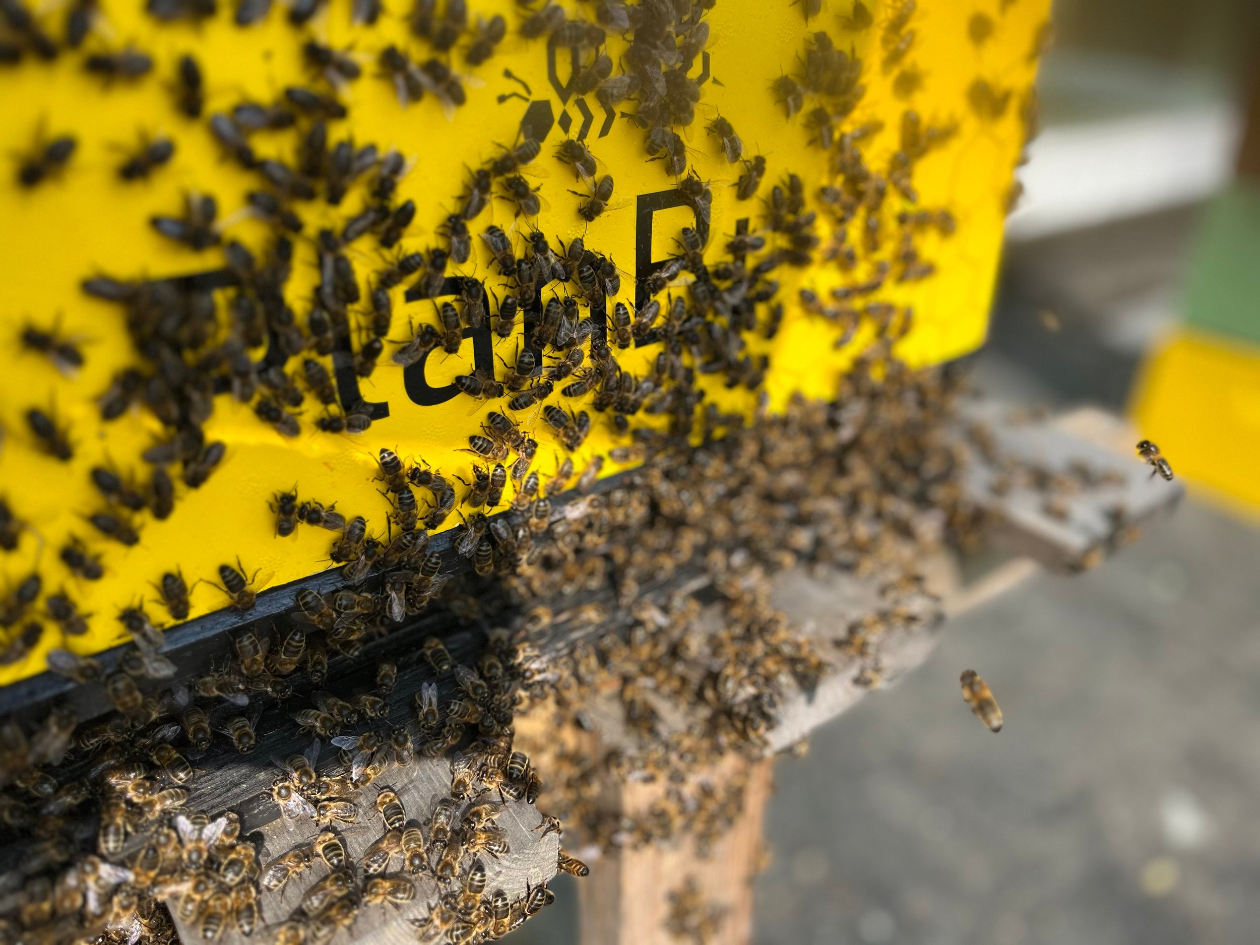 slider image 1621243260e1af0c20-1