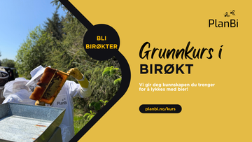 Rekord i påmeldinger til våre birøkterkurs!