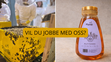 PlanBi søker sertifiserte birøktere i Rogaland