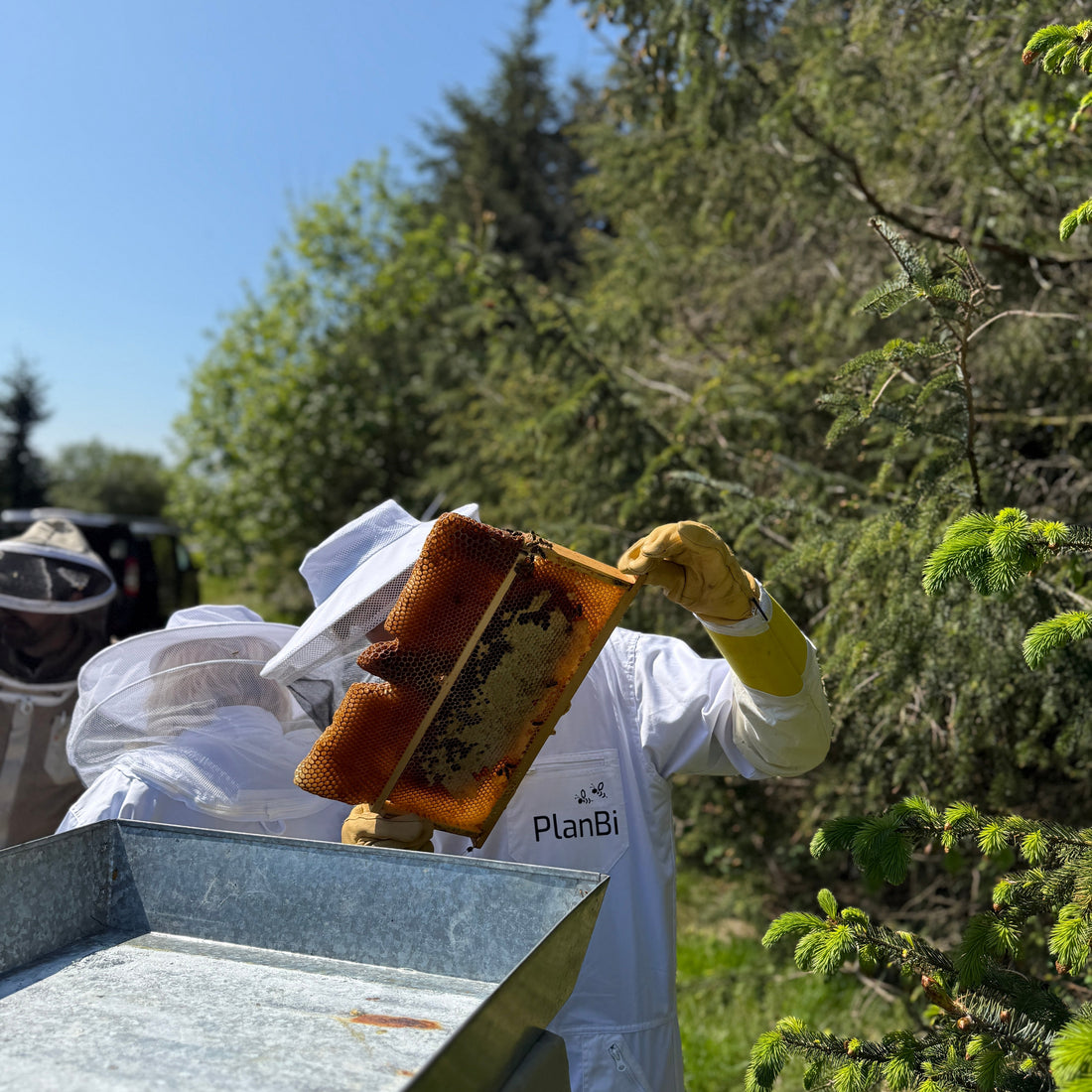 Birøkterkurs med PlanBi